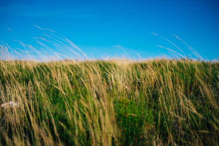 aperture-vintage-plYdeBD3yMA-unsplash