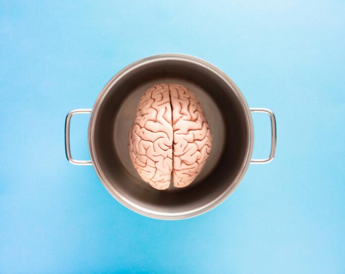 pexels-photo-15410081 top view of a brain in a cup